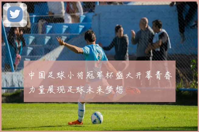 中国足球小将冠军杯盛大开幕青春力量展现足球未来梦想
