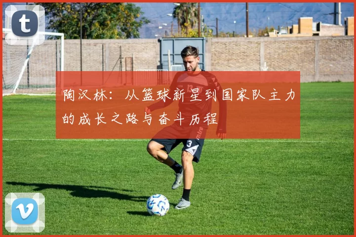 陶汉林：从篮球新星到国家队主力的成长之路与奋斗历程